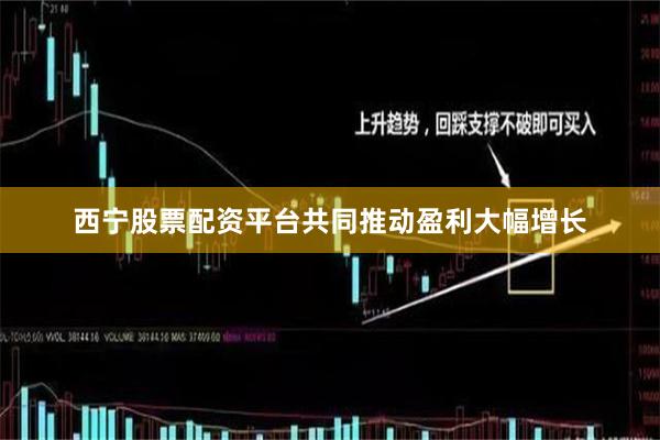 西宁股票配资平台共同推动盈利大幅增长